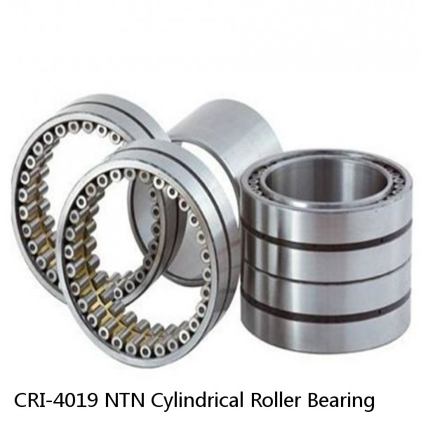 CRI-4019 NTN Cylindrical Roller Bearing
