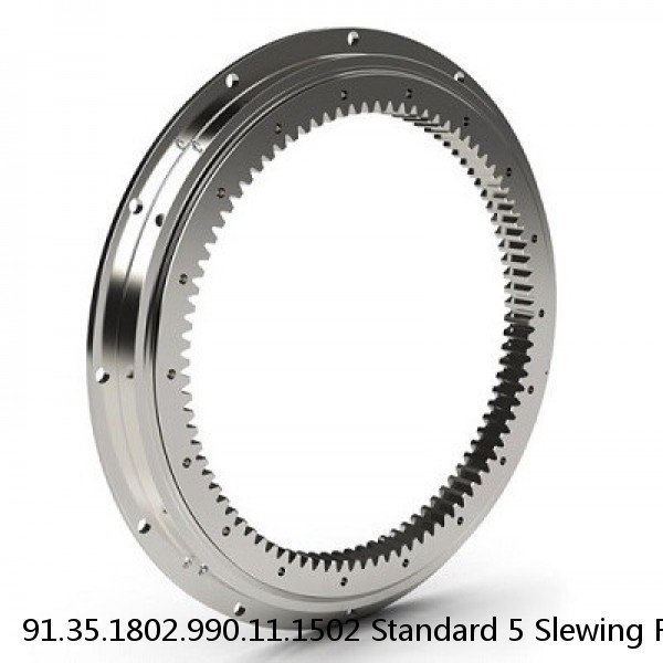 91.35.1802.990.11.1502 Standard 5 Slewing Ring Bearings