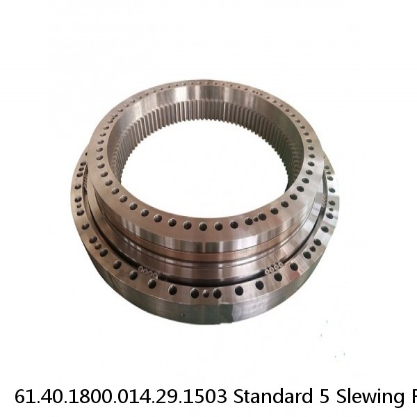 61.40.1800.014.29.1503 Standard 5 Slewing Ring Bearings #1 small image