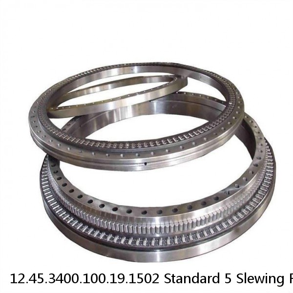12.45.3400.100.19.1502 Standard 5 Slewing Ring Bearings