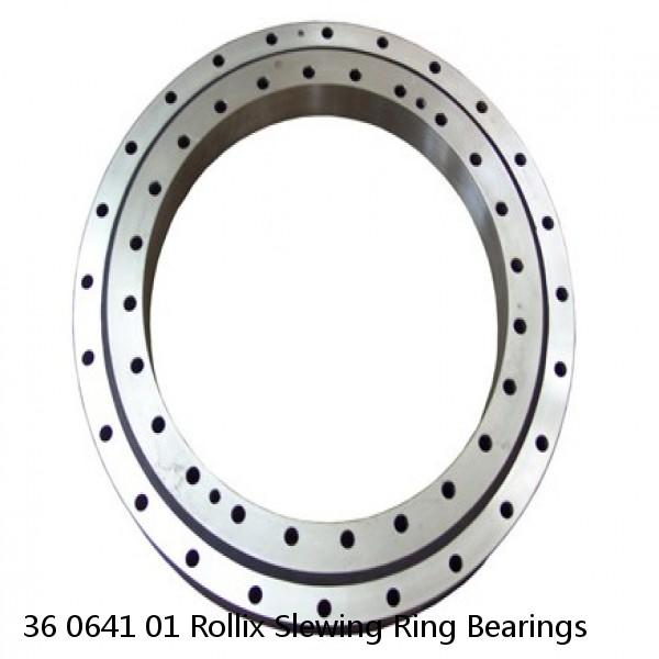 36 0641 01 Rollix Slewing Ring Bearings #1 small image