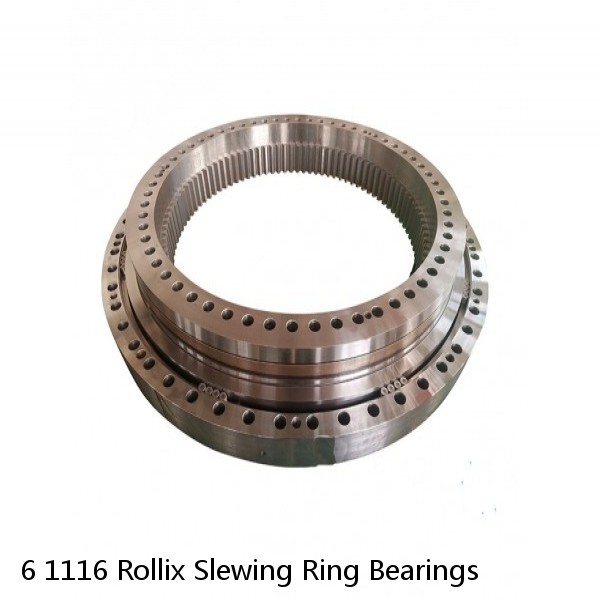 6 1116 Rollix Slewing Ring Bearings