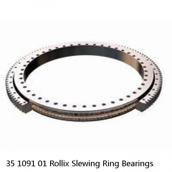 35 1091 01 Rollix Slewing Ring Bearings