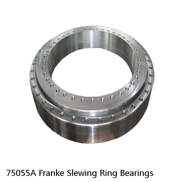 75055A Franke Slewing Ring Bearings #1 small image