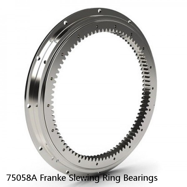 75058A Franke Slewing Ring Bearings #1 small image