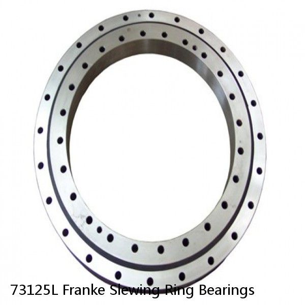 73125L Franke Slewing Ring Bearings #1 small image