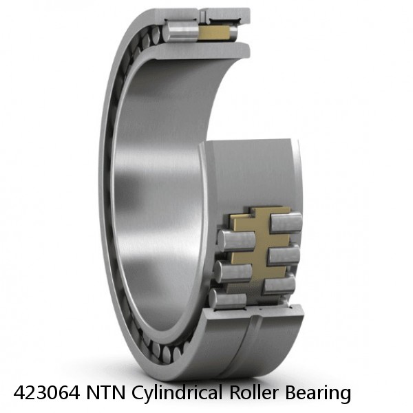 423064 NTN Cylindrical Roller Bearing #1 small image