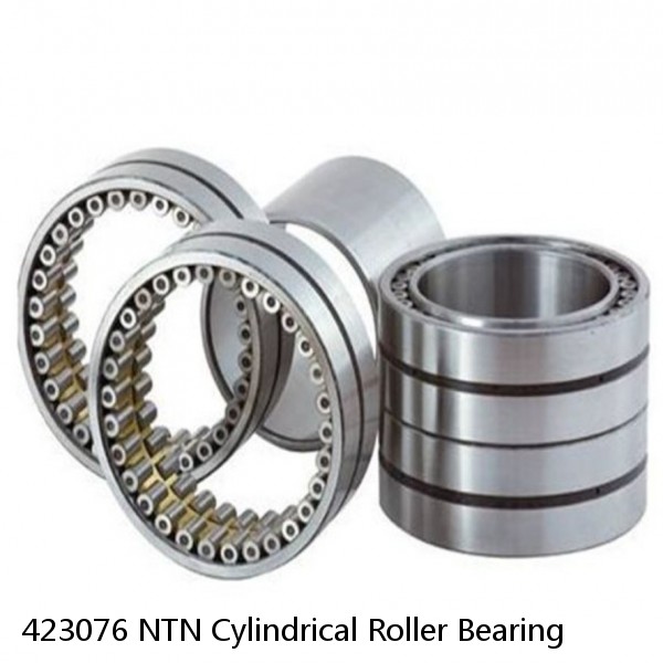 423076 NTN Cylindrical Roller Bearing #1 small image