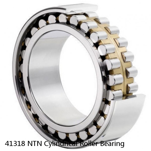 41318 NTN Cylindrical Roller Bearing #1 small image