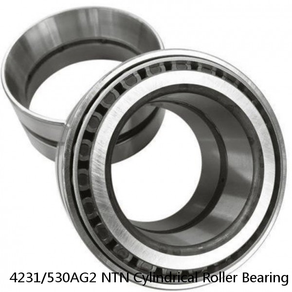 4231/530AG2 NTN Cylindrical Roller Bearing #1 small image