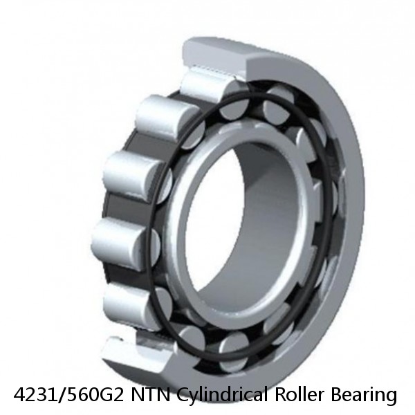 4231/560G2 NTN Cylindrical Roller Bearing
