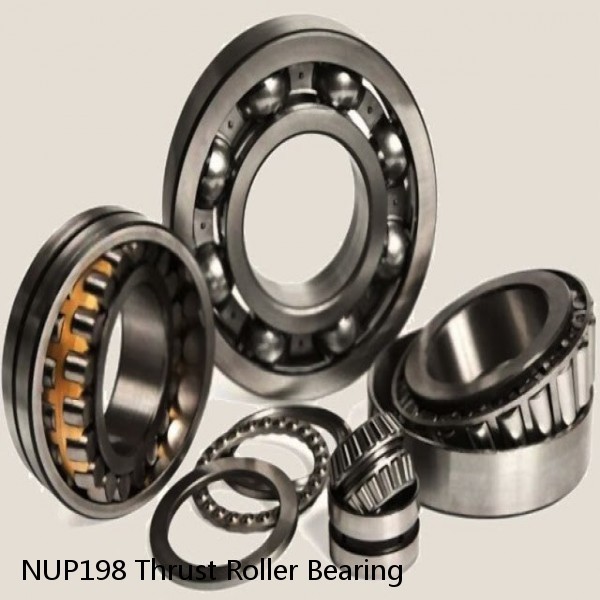 NUP198 Thrust Roller Bearing #1 image