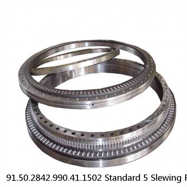 91.50.2842.990.41.1502 Standard 5 Slewing Ring Bearings #1 image