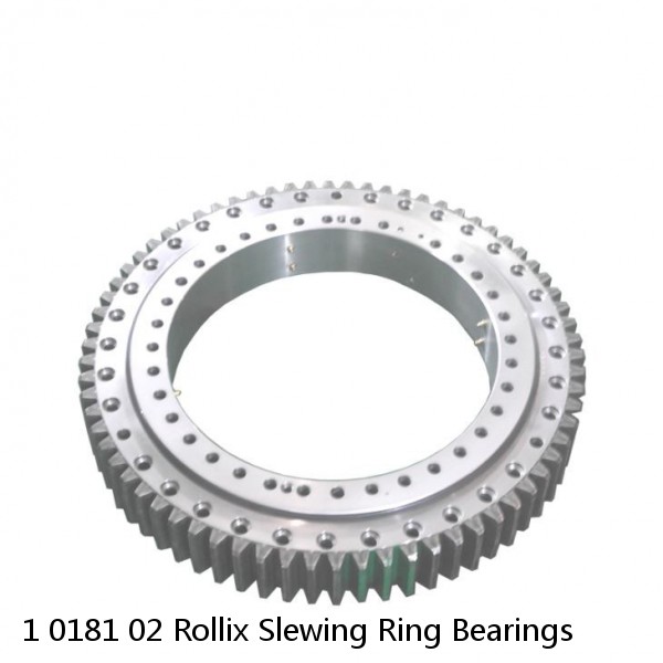 1 0181 02 Rollix Slewing Ring Bearings #1 image