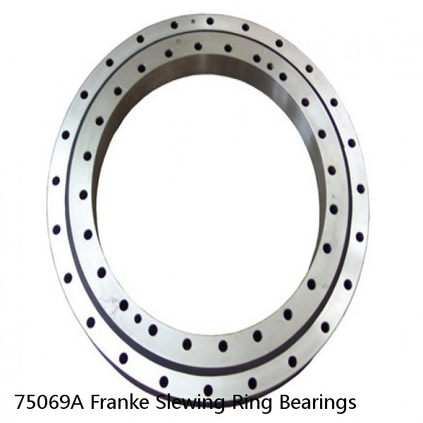 75069A Franke Slewing Ring Bearings #1 image