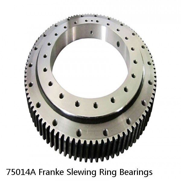 75014A Franke Slewing Ring Bearings #1 image